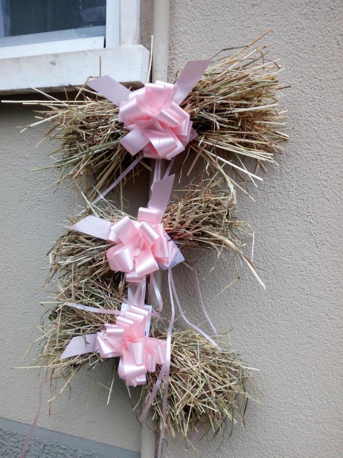 B&B Delle Arti Crema Kültér fotó