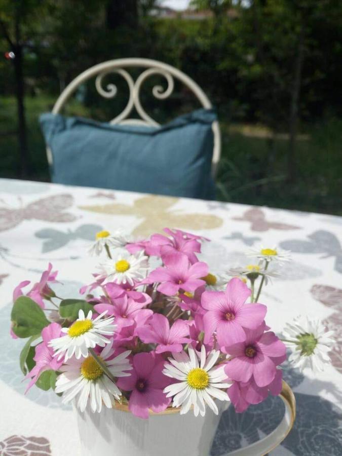 B&B Delle Arti Crema Kültér fotó